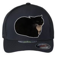 Spinning Cat Meme Maxwell The Cat Meme Flexfit Unipanel Trucker Cap
