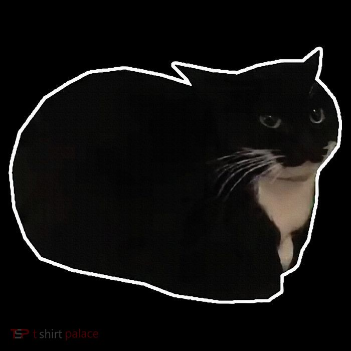 Spinning Cat Meme Maxwell The Cat Meme Flexfit Unipanel Trucker Cap