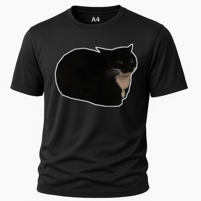Spinning Cat Meme Maxwell The Cat Meme Performance Shirt