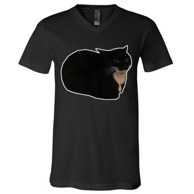 Spinning Cat Meme Maxwell The Cat Meme V-Neck T-Shirt