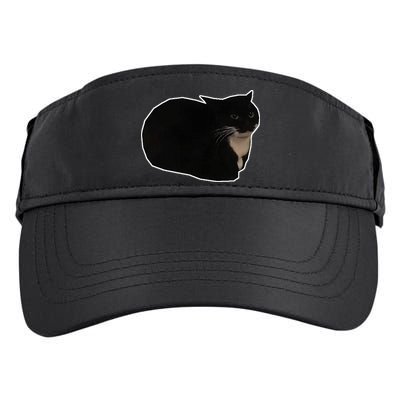 Spinning Cat Meme Maxwell The Cat Meme Adult Drive Performance Visor