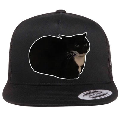 Spinning Cat Meme Maxwell The Cat Meme Flatbill Hat