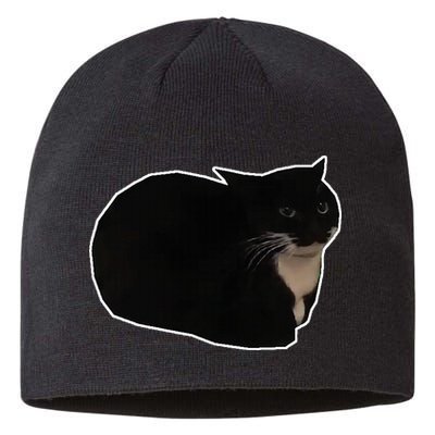 Spinning Cat Meme Maxwell The Cat Meme Sustainable Beanie