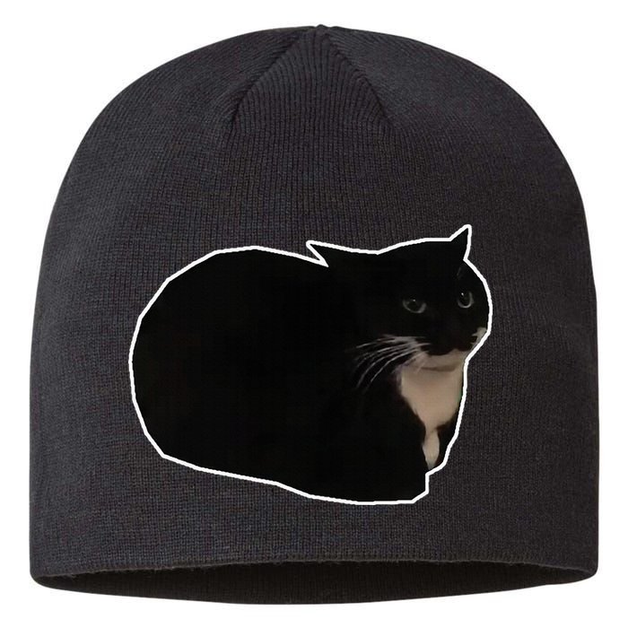 Spinning Cat Meme Maxwell The Cat Meme Sustainable Beanie