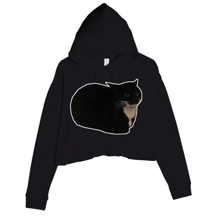 Spinning Cat Meme Maxwell The Cat Meme Crop Fleece Hoodie