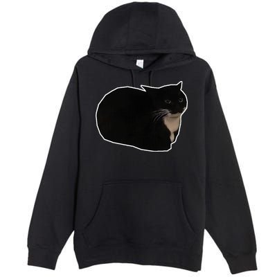 Spinning Cat Meme Maxwell The Cat Meme Premium Pullover Hoodie