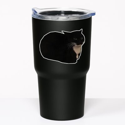 Spinning Cat Meme Maxwell The Cat Meme Tumbler