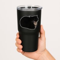 Spinning Cat Meme Maxwell The Cat Meme Tumbler