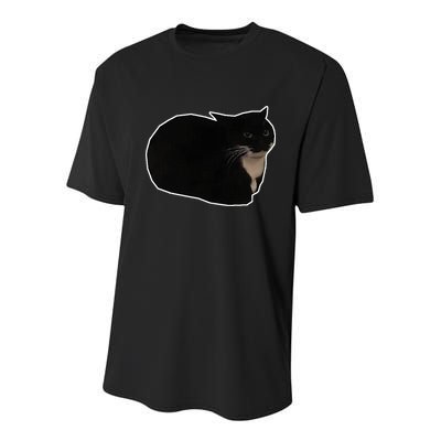 Spinning Cat Meme Maxwell The Cat Meme Youth Performance Sprint T-Shirt