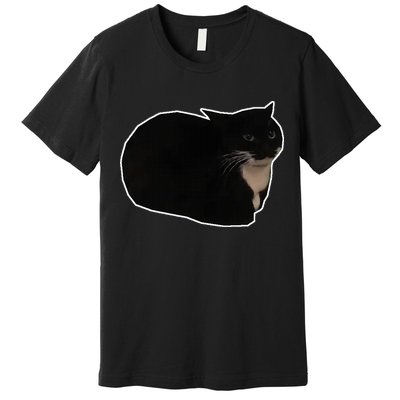 Spinning Cat Meme Maxwell The Cat Meme Premium T-Shirt