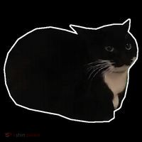 Spinning Cat Meme Maxwell The Cat Meme Premium T-Shirt