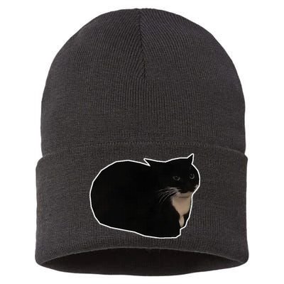 Spinning Cat Meme Maxwell The Cat Meme Sustainable Knit Beanie