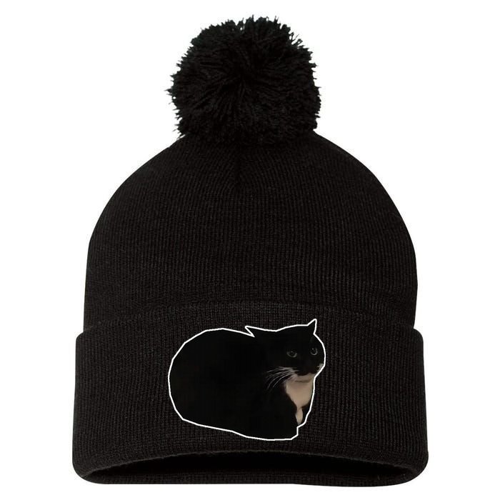 Spinning Cat Meme Maxwell The Cat Meme Pom Pom 12in Knit Beanie