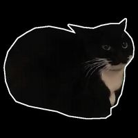 Spinning Cat Meme Maxwell The Cat Meme Baby Bodysuit