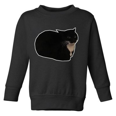 Spinning Cat Meme Maxwell The Cat Meme Toddler Sweatshirt