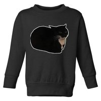 Spinning Cat Meme Maxwell The Cat Meme Toddler Sweatshirt