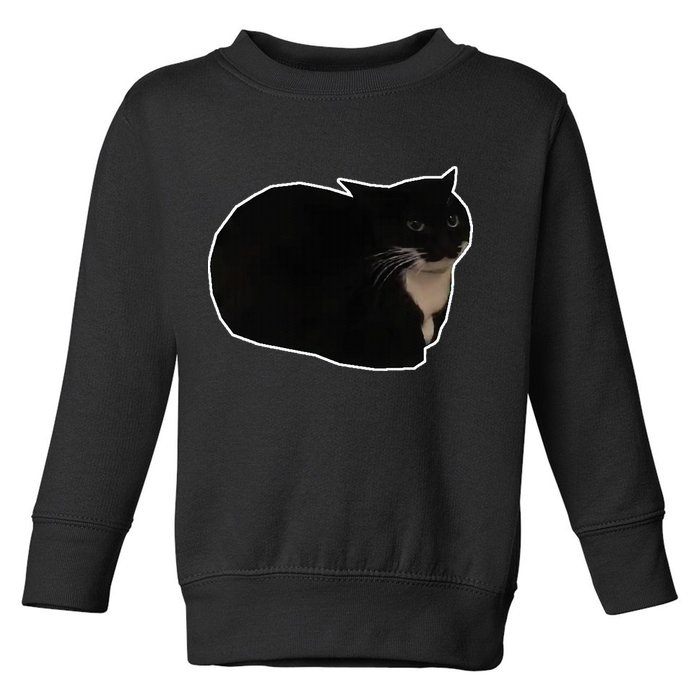 Spinning Cat Meme Maxwell The Cat Meme Toddler Sweatshirt