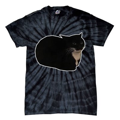 Spinning Cat Meme Maxwell The Cat Meme Tie-Dye T-Shirt