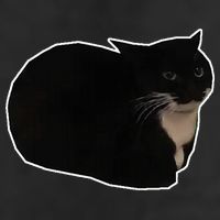Spinning Cat Meme Maxwell The Cat Meme Trucker Hat