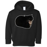 Spinning Cat Meme Maxwell The Cat Meme Toddler Hoodie