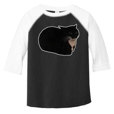 Spinning Cat Meme Maxwell The Cat Meme Toddler Fine Jersey T-Shirt