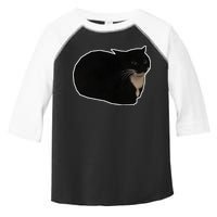 Spinning Cat Meme Maxwell The Cat Meme Toddler Fine Jersey T-Shirt