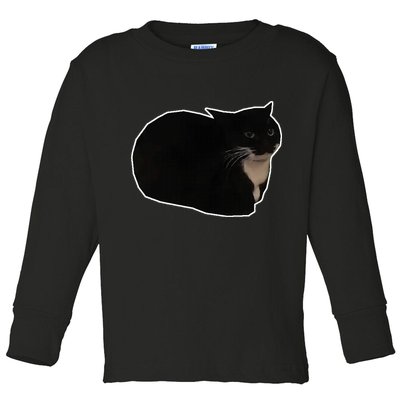 Spinning Cat Meme Maxwell The Cat Meme Toddler Long Sleeve Shirt