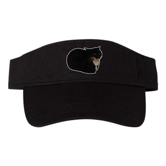 Spinning Cat Meme Maxwell The Cat Meme Visor
