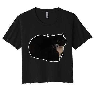 Spinning Cat Meme Maxwell The Cat Meme Crop Top