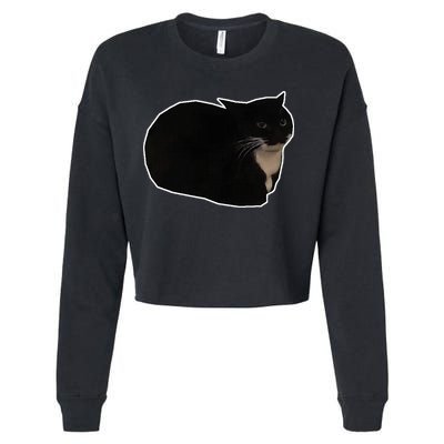 Spinning Cat Meme Maxwell The Cat Meme Cropped Pullover Crew