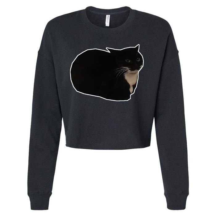 Spinning Cat Meme Maxwell The Cat Meme Cropped Pullover Crew