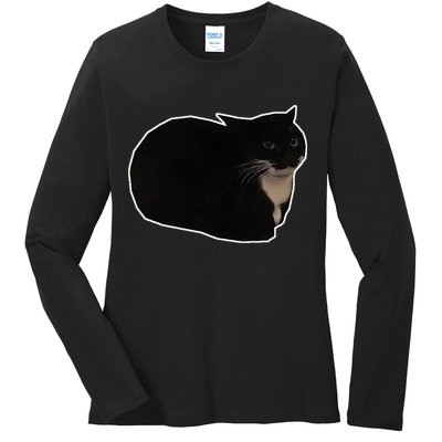 Spinning Cat Meme Maxwell The Cat Meme Ladies Long Sleeve Shirt