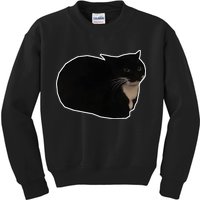 Spinning Cat Meme Maxwell The Cat Meme Kids Sweatshirt