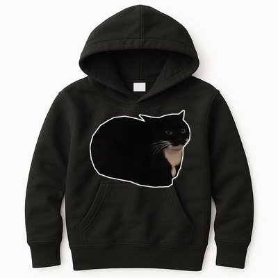 Spinning Cat Meme Maxwell The Cat Meme Kids Hoodie