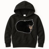 Spinning Cat Meme Maxwell The Cat Meme Kids Hoodie
