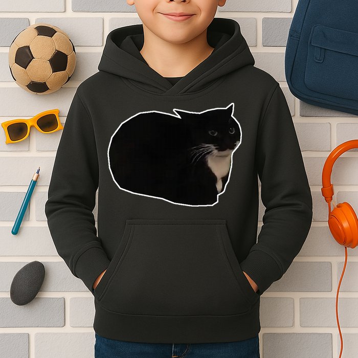 Spinning Cat Meme Maxwell The Cat Meme Kids Hoodie