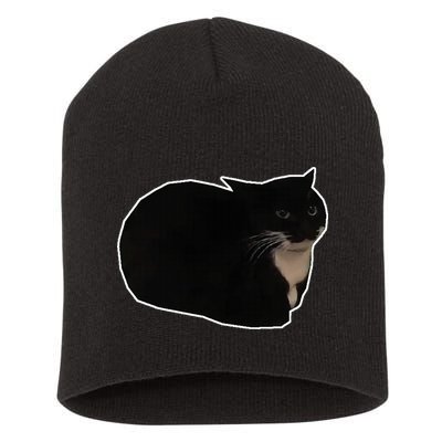 Spinning Cat Meme Maxwell The Cat Meme Short Acrylic Beanie
