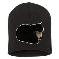 Spinning Cat Meme Maxwell The Cat Meme Short Acrylic Beanie