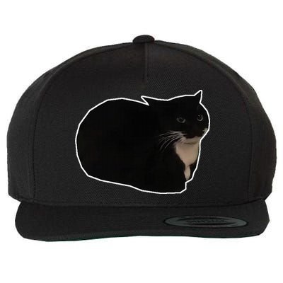 Spinning Cat Meme Maxwell The Cat Meme Wool Snapback Cap