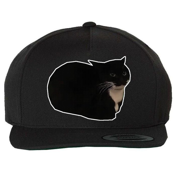 Spinning Cat Meme Maxwell The Cat Meme Wool Snapback Cap
