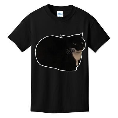 Spinning Cat Meme Maxwell The Cat Meme Kids T-Shirt