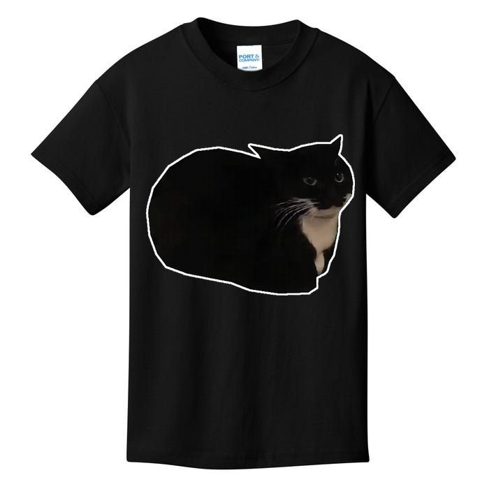 Spinning Cat Meme Maxwell The Cat Meme Kids T-Shirt