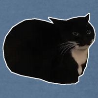Spinning Cat Meme Maxwell The Cat Meme Garment-Dyed Sweatshirt