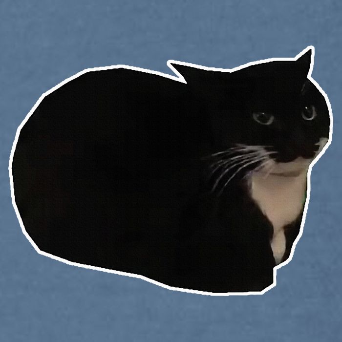 Spinning Cat Meme Maxwell The Cat Meme Garment-Dyed Sweatshirt