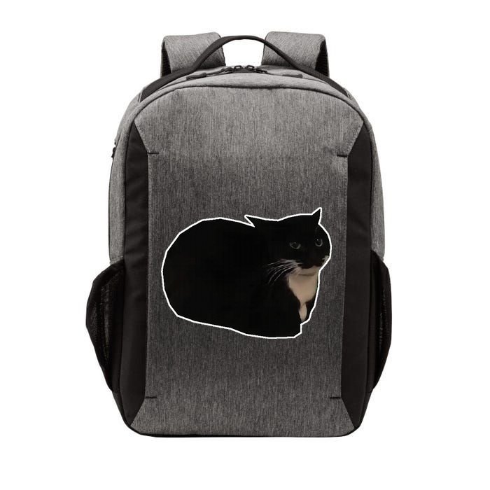 Spinning Cat Meme Maxwell The Cat Meme Vector Backpack