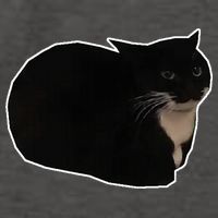 Spinning Cat Meme Maxwell The Cat Meme Vector Backpack