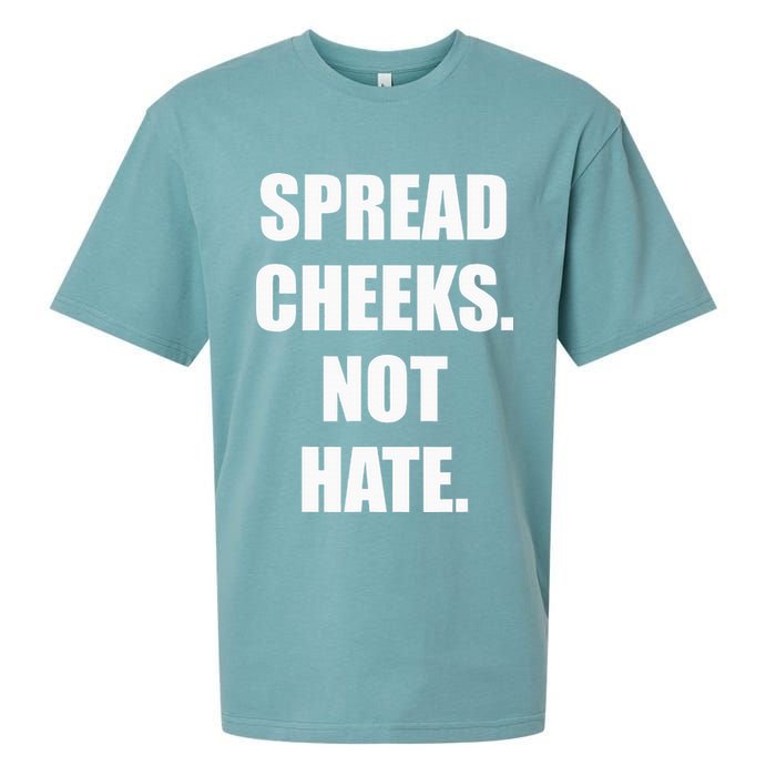 Spread Cheeks Not Hate Sueded Cloud Jersey T-Shirt
