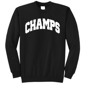 State Champs Of What 2024 Sweatshirt