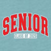 Senior Class Of 2025 High School Year College Graduation Red Sueded Cloud Jersey T-Shirt