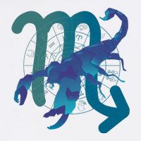 Scorpio Zodiac Symbol Cropped Pullover Crew